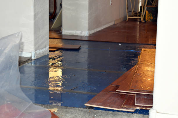 Professional Water Extraction technician working in Iola, WI